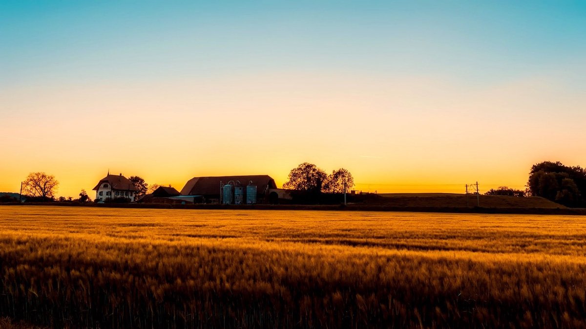 Rural central Iowa farmstead at golden hour